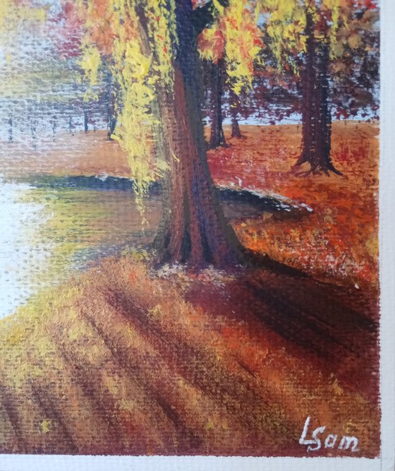 Autumn's Radiant Veil