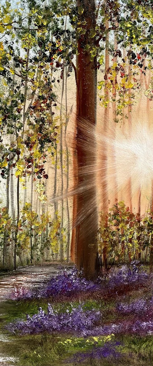 Sunny forest by Tanja Frost
