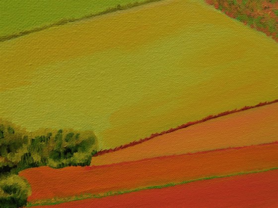 Fields, a Lake and Woods, le Gers, South West France