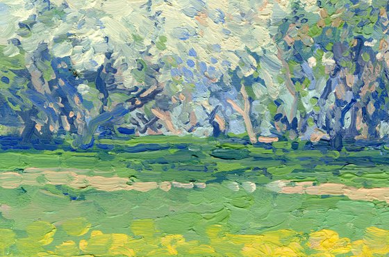 Apple blossom. Kolomenskoye