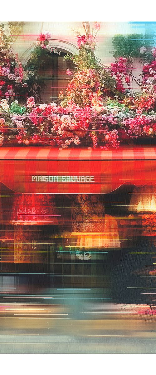 Maison Sauvage by Anil Mistry
