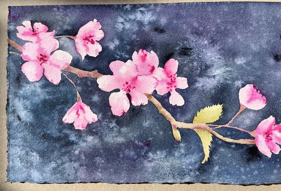 Blossoming cherry branch. Original watercolor.