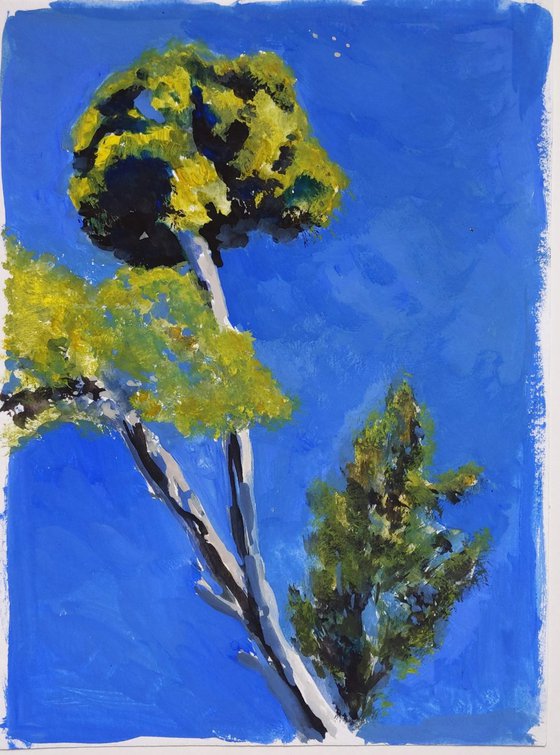 Pines of Corfu island - Greece - original watercolor painting - pine trees