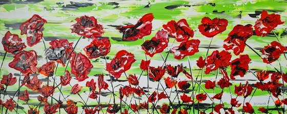 Red Poppies
