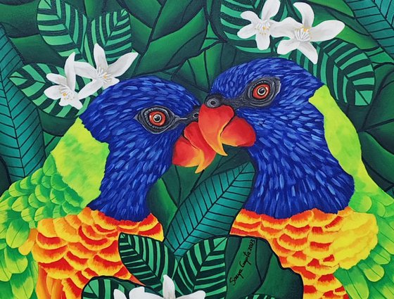 Lorikeet Love
