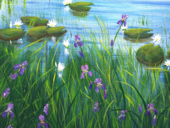 Water lily pond