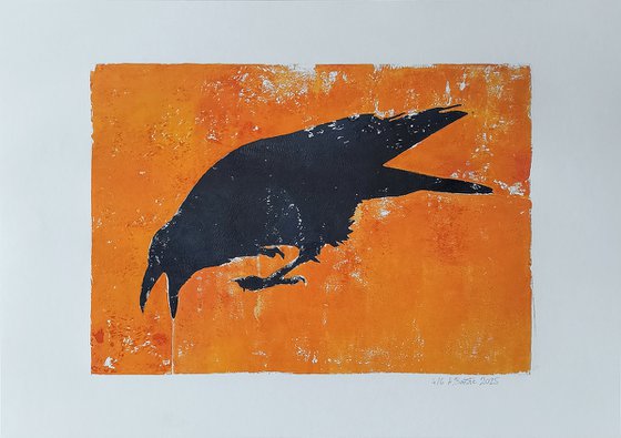 Raven 4/6