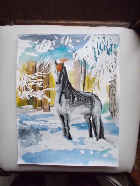 Horse,winter