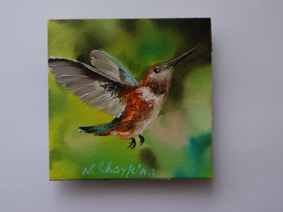 Delicate Hummingbird Painting