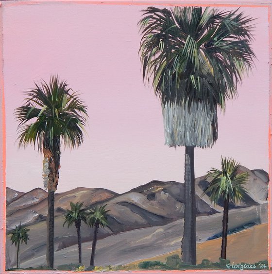 Pink Palm Springs