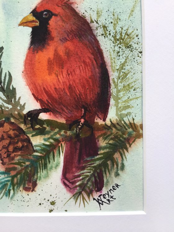 Red cardinal. Red bird art