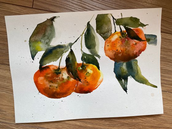 Mandarines. Watercolor sketch