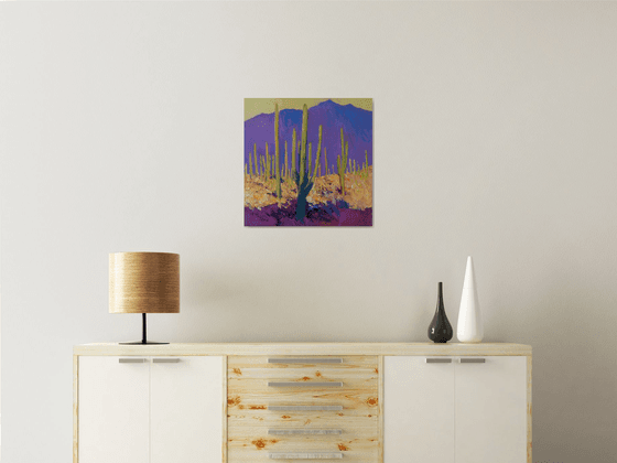 Desert Evening, Saguaros