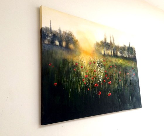 The Last of the Poppies