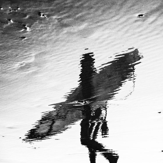 Reflected Surfer 1.