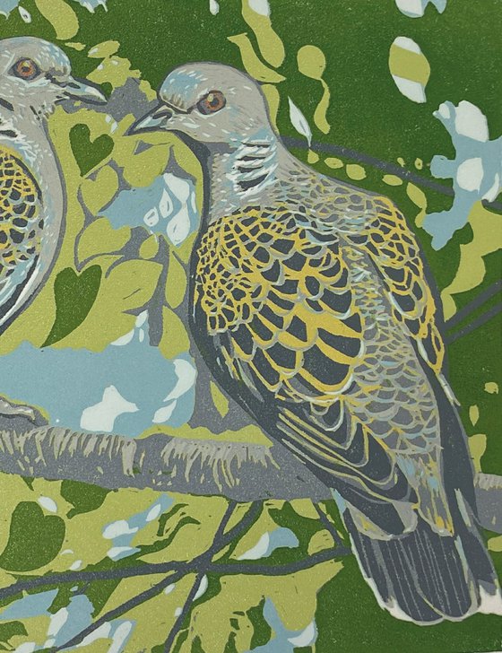 Turtle Doves