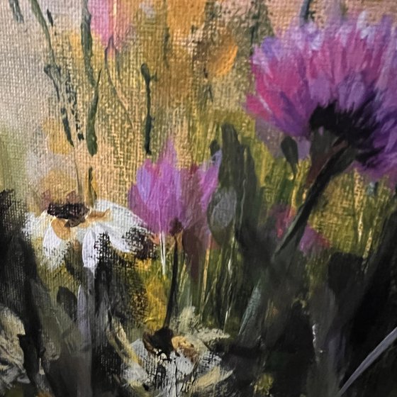 Field of wildflowers