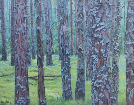 Mossy forest