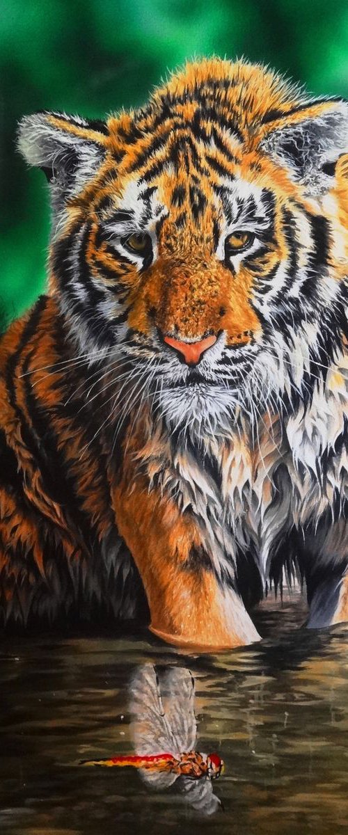 Intrigue by Julian Wheat