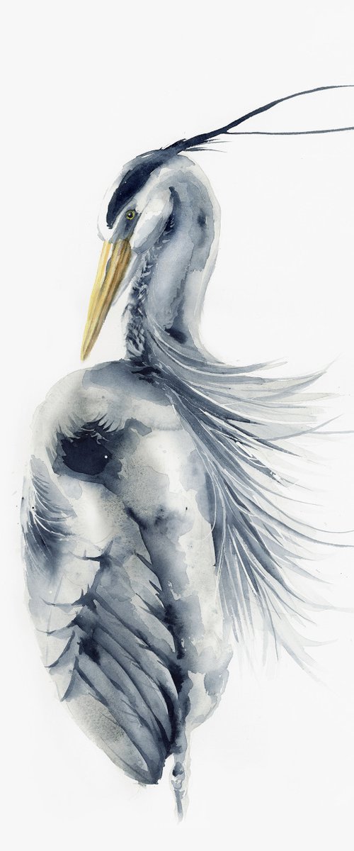 Grey Heron bird by Karolina Kijak
