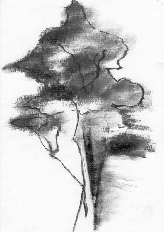 Dessin au fusain, Etude d'arbre, 29,7 x 21 cm