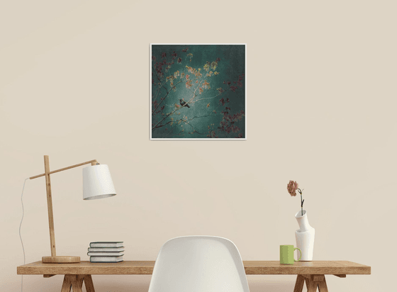 European Starling - 16 x 16"