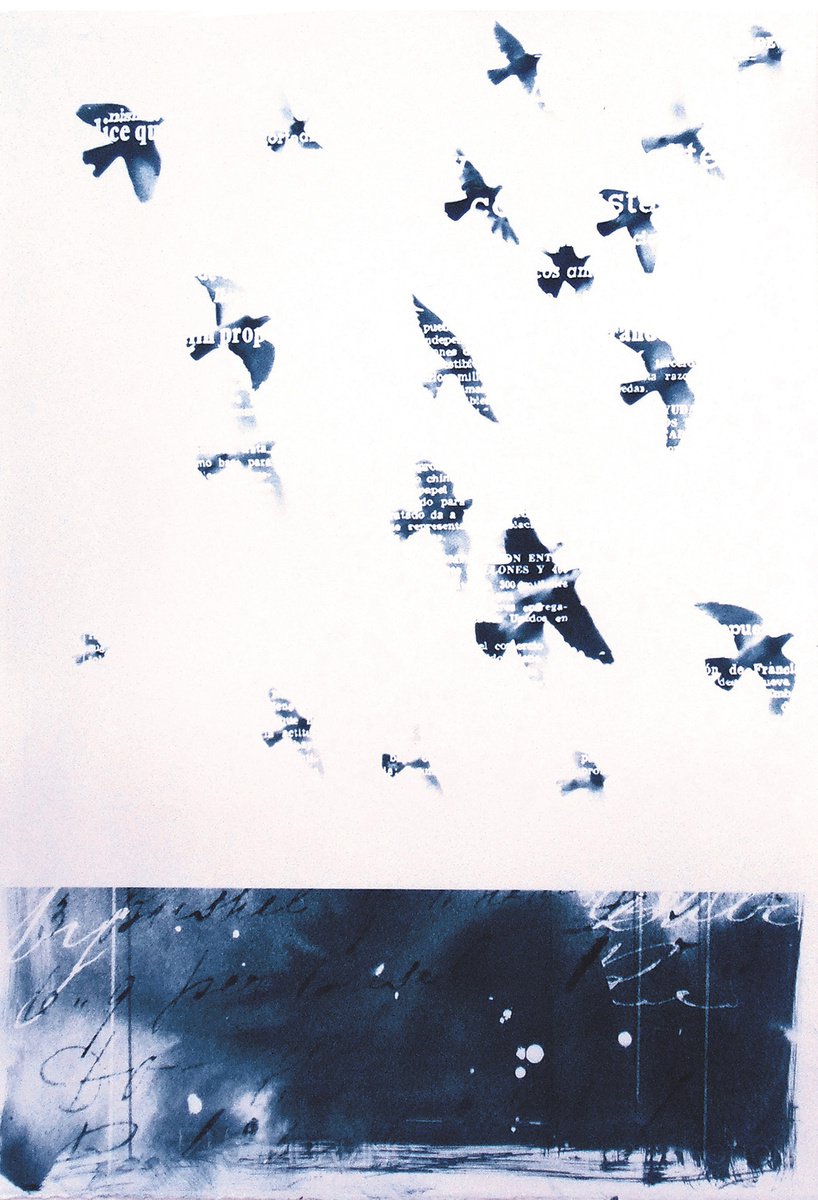 Illustrative Animal Print By Manel Villalonga, 17 X 24", Cyanotype 03 Birds, Original Artwork
