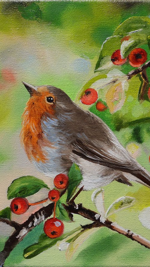 Robin with Red Berries by Natalia Shaykina