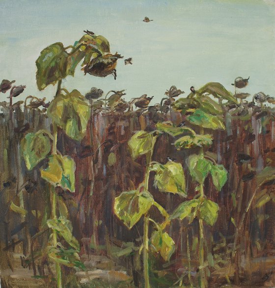Sparrows and sunflowers