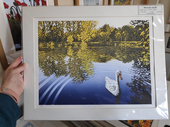 Lake View with Swan