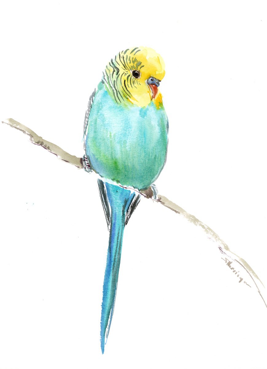 Budgie, Turquoise Parakeet painting by Suren Nersisyan