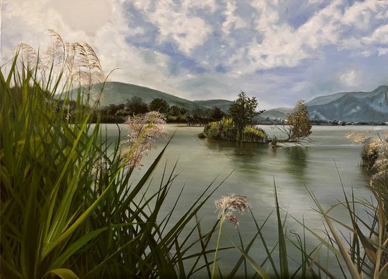 Whispers of the Sebino Wetlands