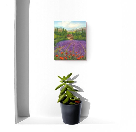 Lavender field