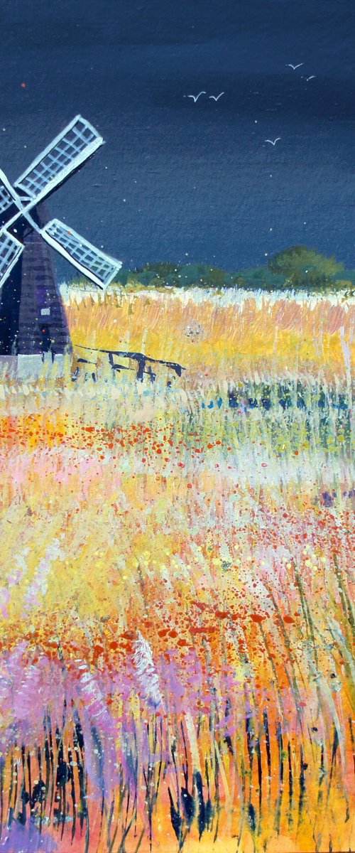 Wicken Fen - Storm Sky by Julia  Rigby