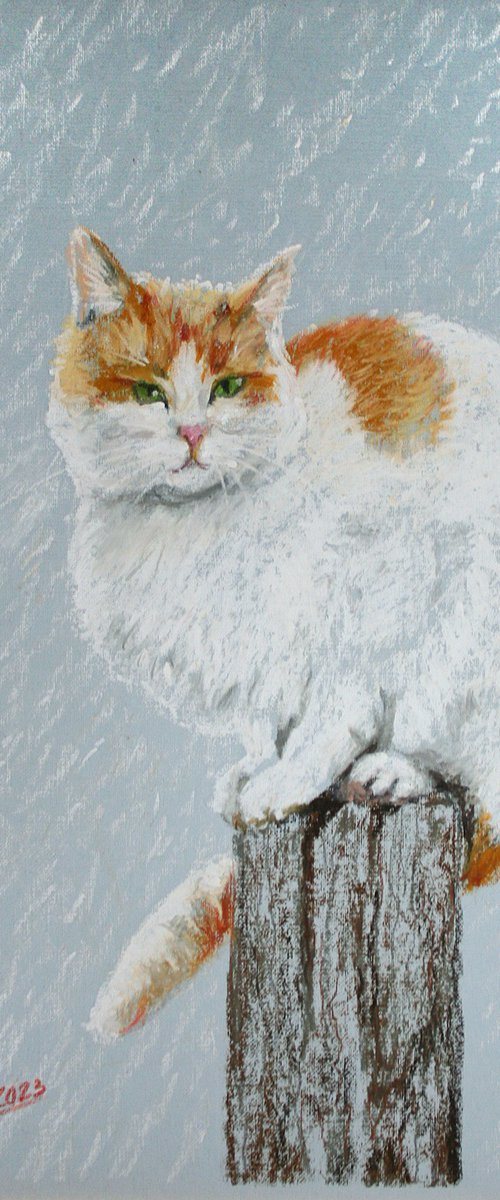 Cat II / FROM THE ANIMAL PORTRAITS SERIES / ORIGINAL OIL PASTEL PAINTING by Salana Art Gallery