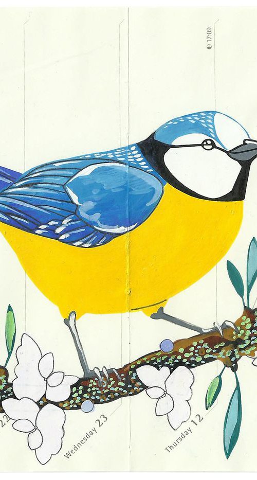 Birds of Europe: Blue Tit by Fran Giffard