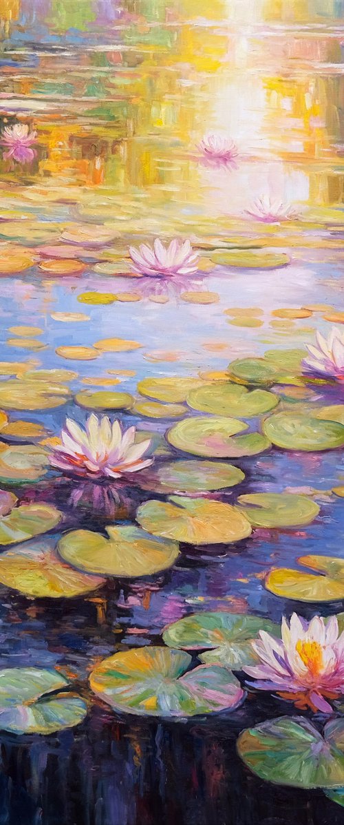 Water Lily Pond in Bloom by Behshad Arjomandi