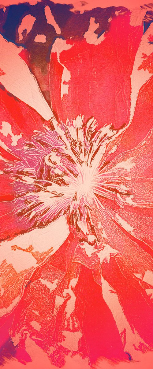 Paradise - Flame Poppy Series, Number Three by Barbara Storey