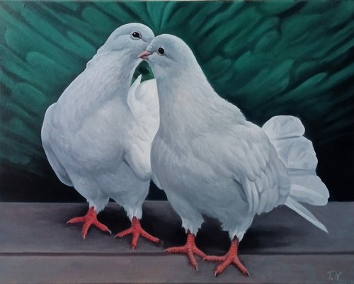 White Pigeons in Love by Tamar Nazaryan