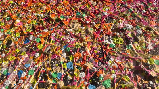 The Soft Light of an Autumn Dream