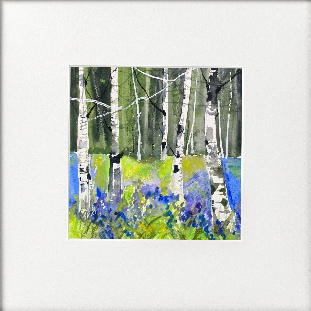 Seasons -  Spring Bluebells & Birches by Teresa Tanner