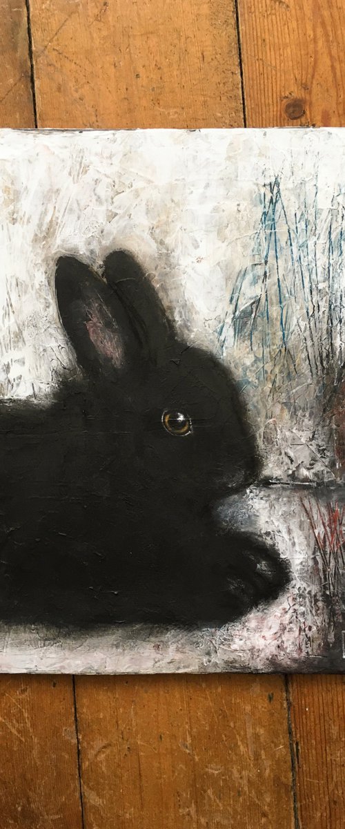 LAPINOU by Eva Fialka