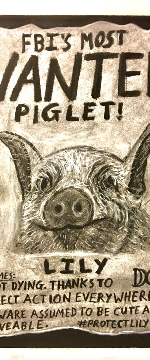 FBI's Most Wanted Piglet by Robbie Potter