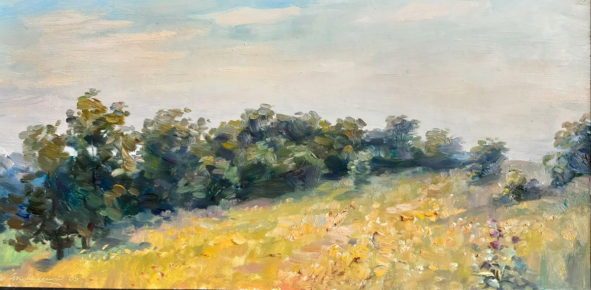 Impressionistic Landscape Oil Painting By Ivan Kovalenko, 24 X 12, Landscape Of Fields, Original Artwork