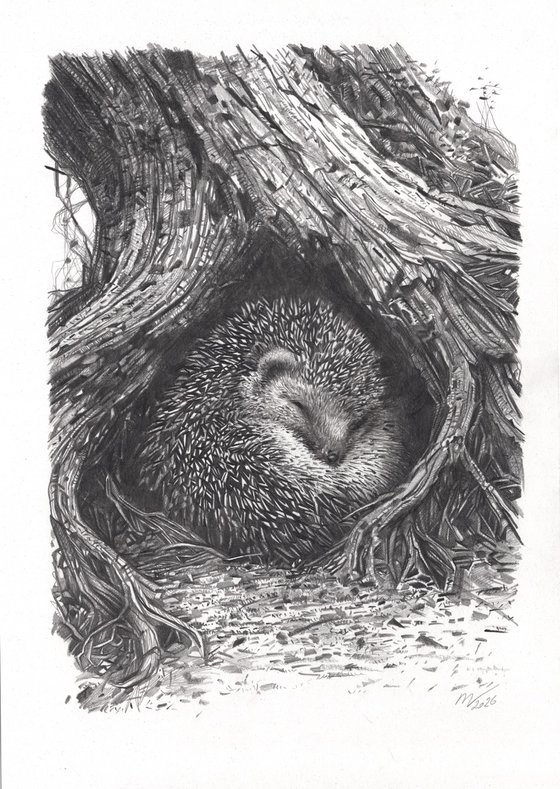 Hedgehog Among the Roots