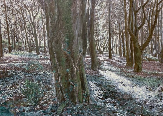 Drama Forest