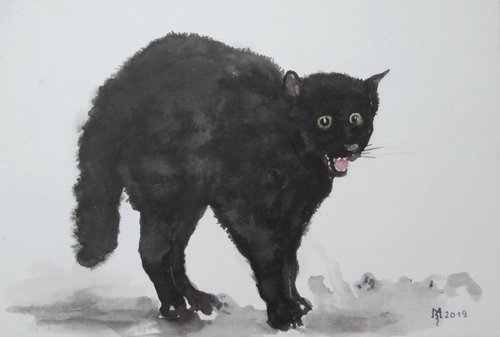 A CAT by Zoran Mihajlović Muza
