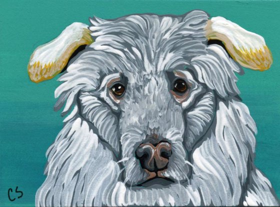 ACEO ATC Original Painting Great Pyreness Pet Dog Art-Carla Smale