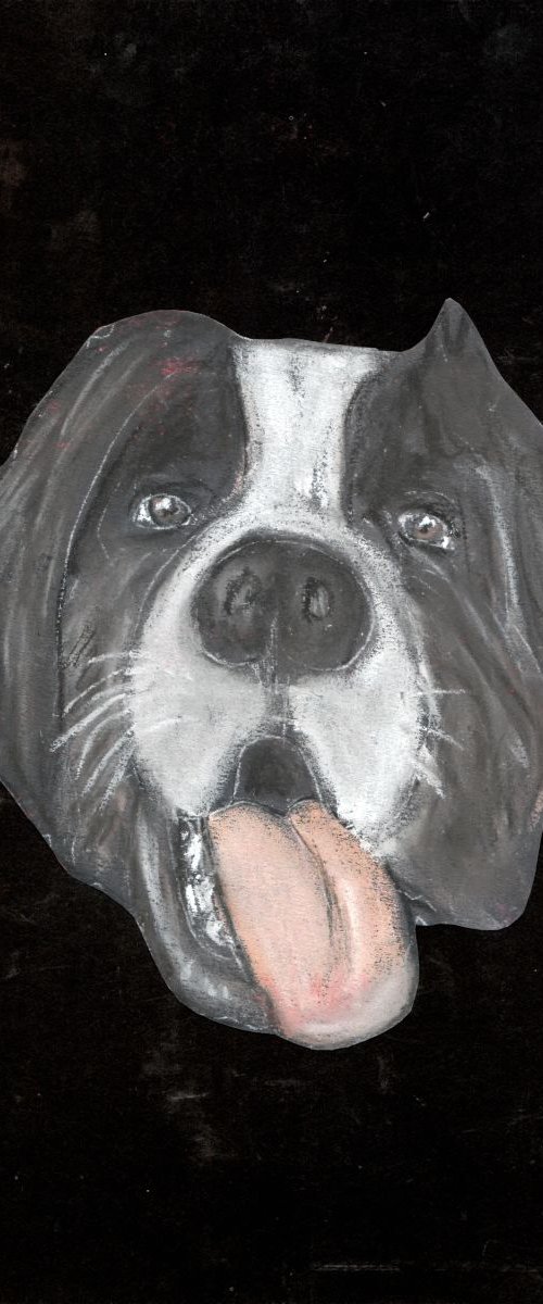 Saint Bernard dog by Pavel Kuragin