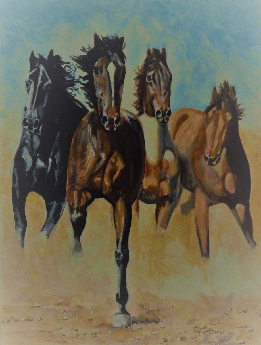 Mustangs 2 by Philip Baker